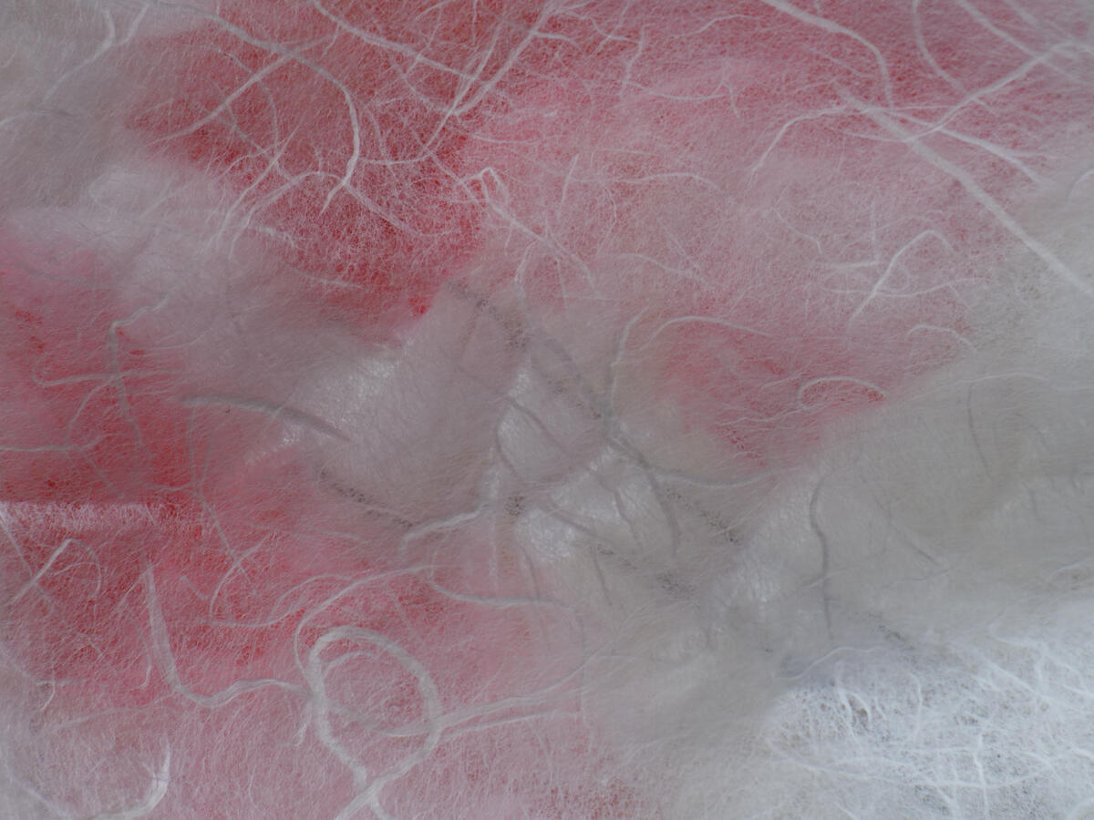 Lactogenesis Detail